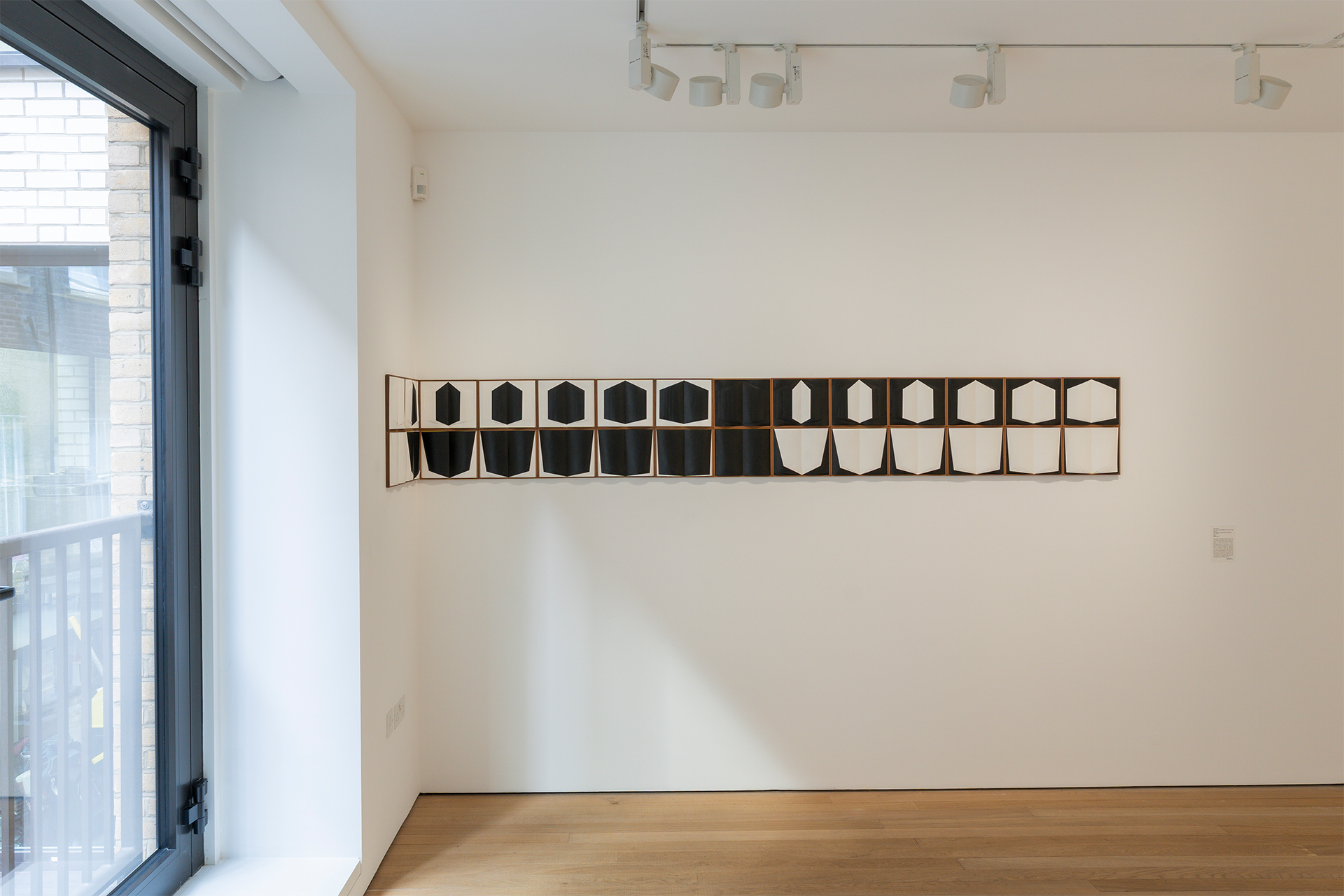 11_Transcendent Force