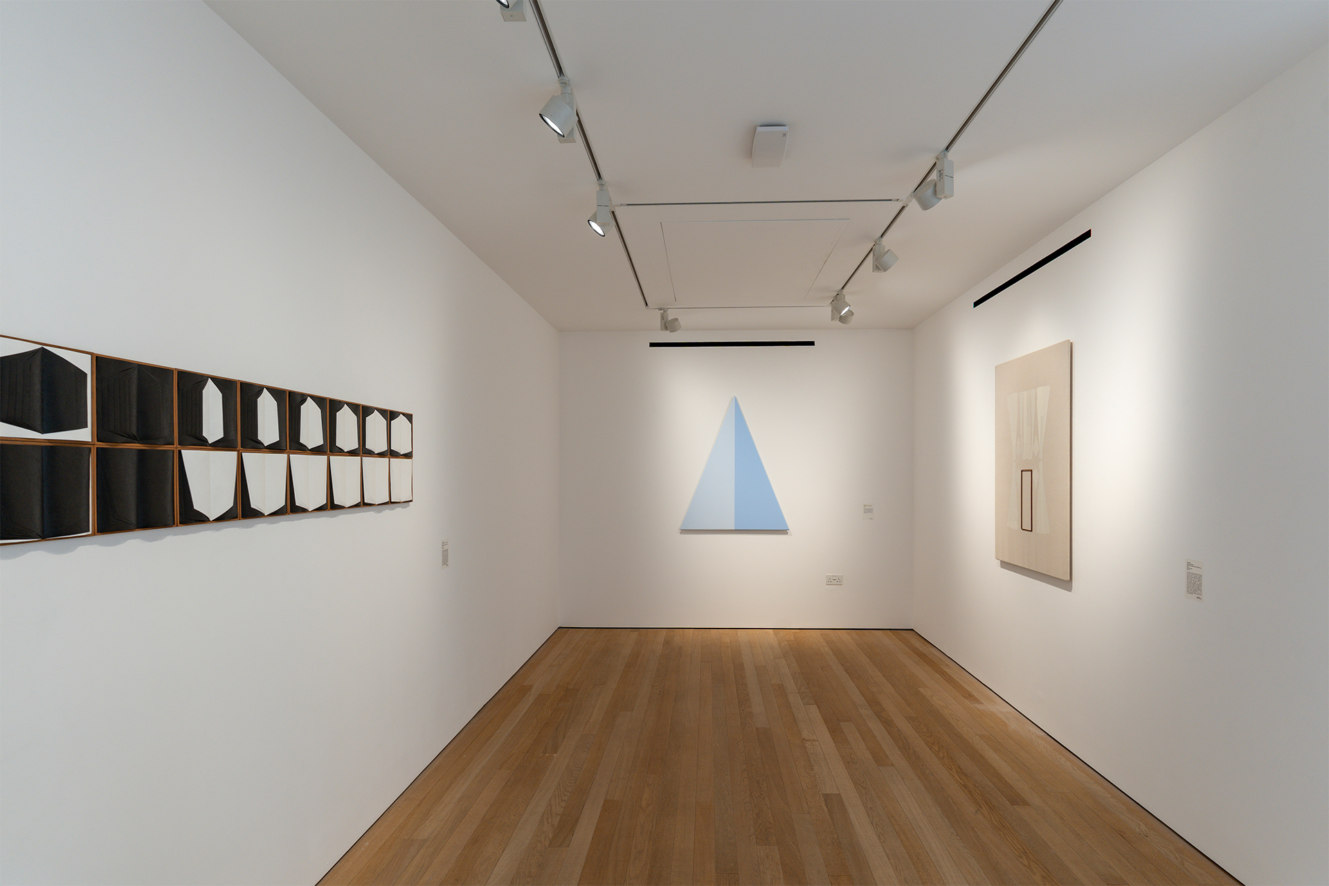 12_Transcendent Force