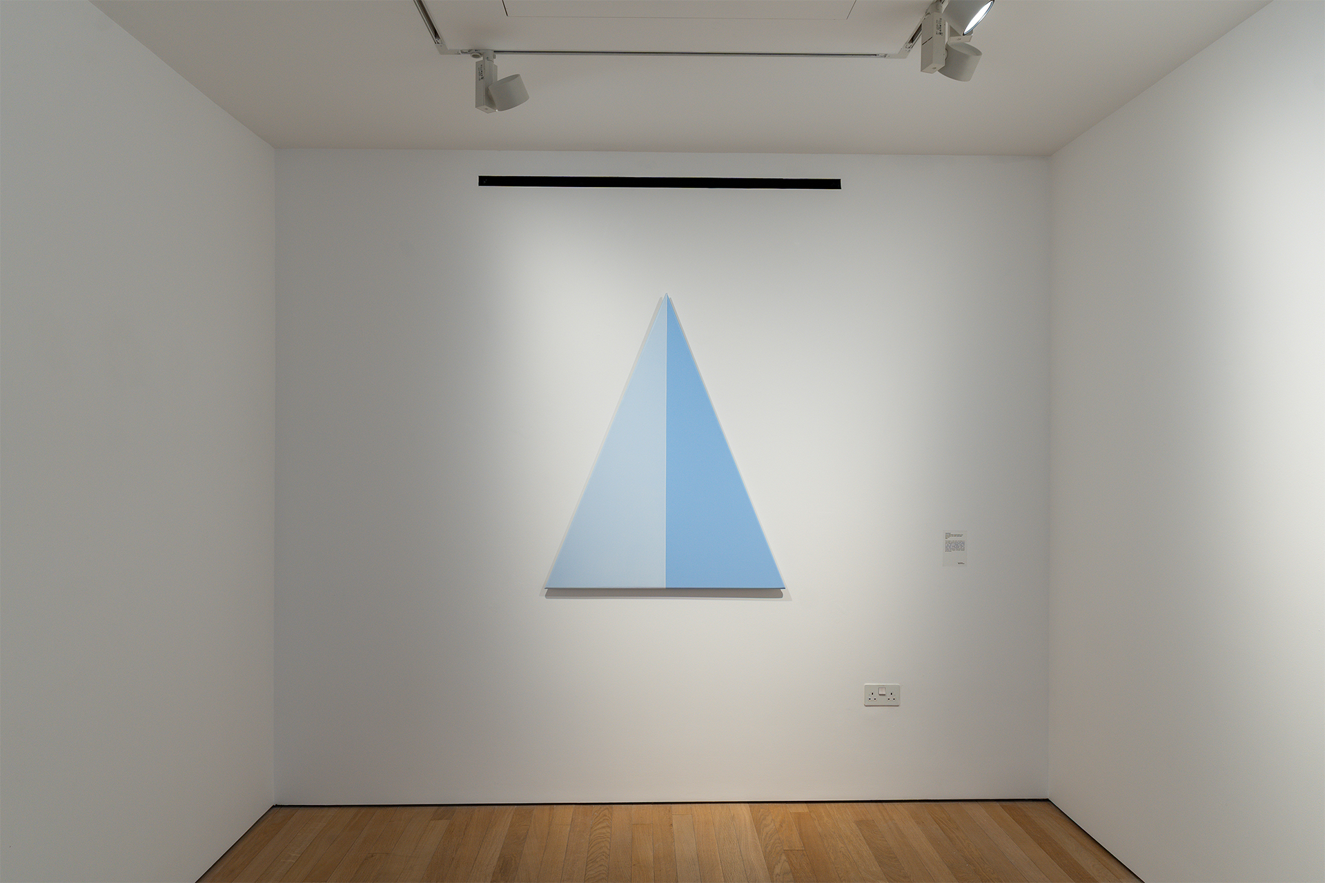 13_Transcendent Force