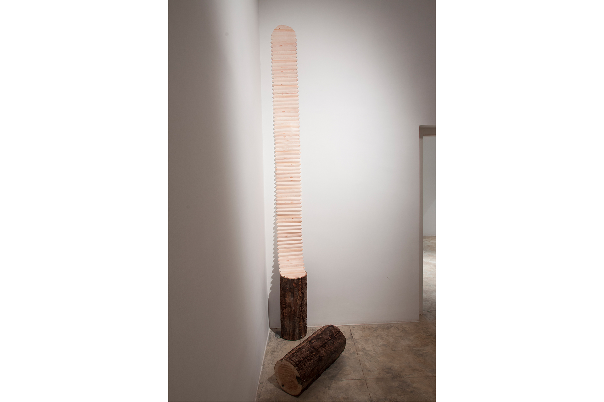 ManifestedRatio (29)