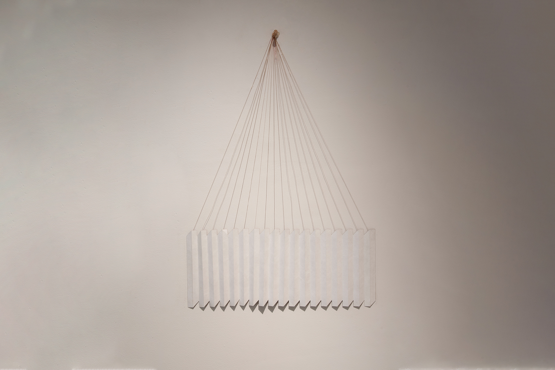 ManifestedRatio (31)